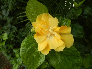 DSCN1010.jpg DSCN1010