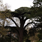 20100402_160.JPG