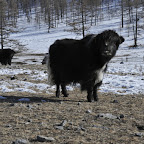 DSC_5104.jpg