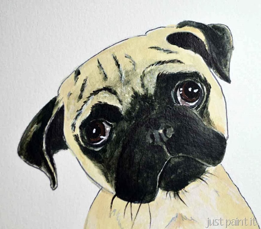 [pug-illustration-F%255B2%255D.jpg]