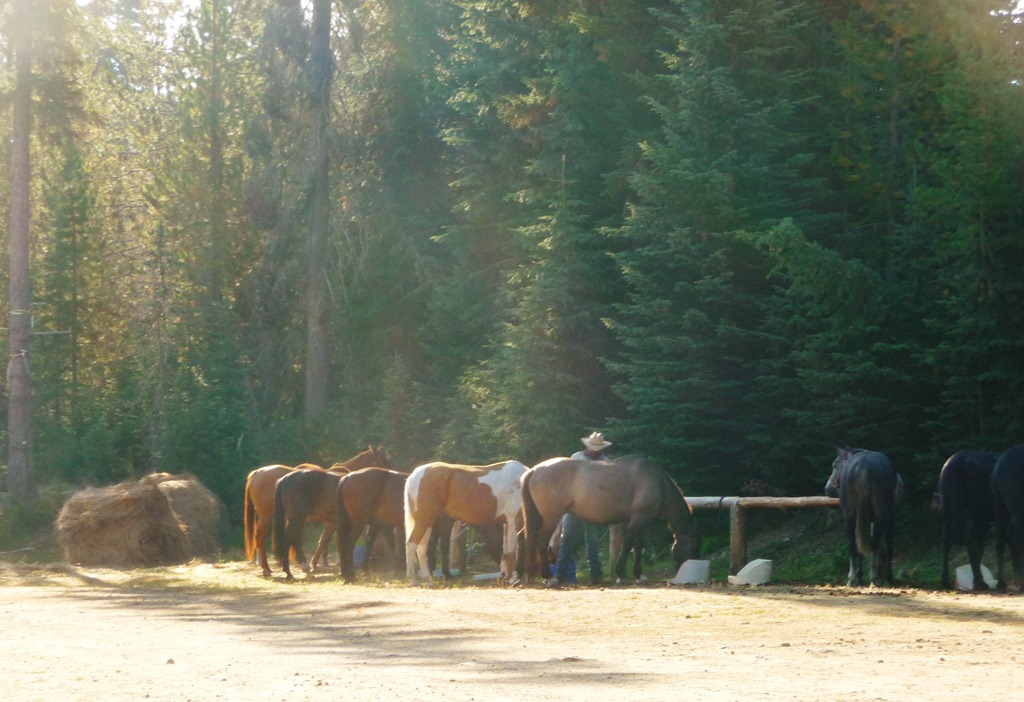 [Horse-trip-0538.jpg]