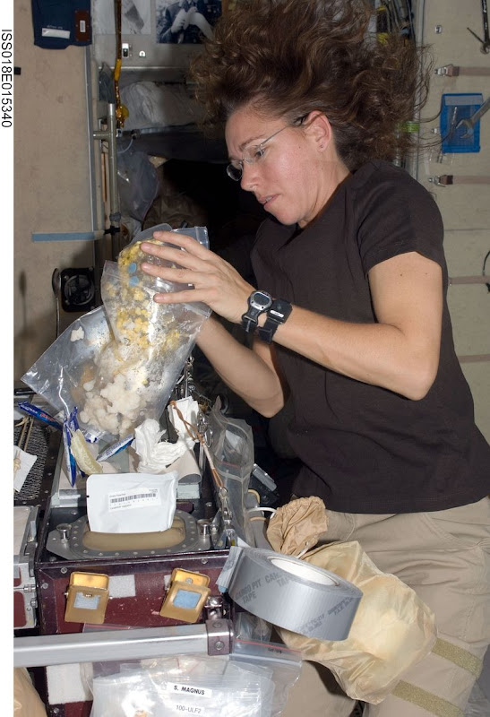 Sandra-Magnus-ISS-01 Sandra-Magnus-ISS-01