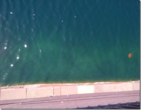 IMG-20110617-01102