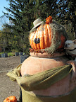 Oh my! It's not Halloween until the fat pumpkin sings!