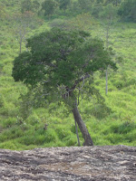 DSC05414.JPG