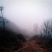 20090319 RVP50_25-Edit.jpg