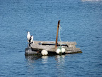 P1020034.JPG