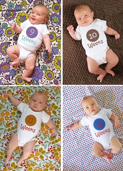 Nora collage week 9 thru 12
