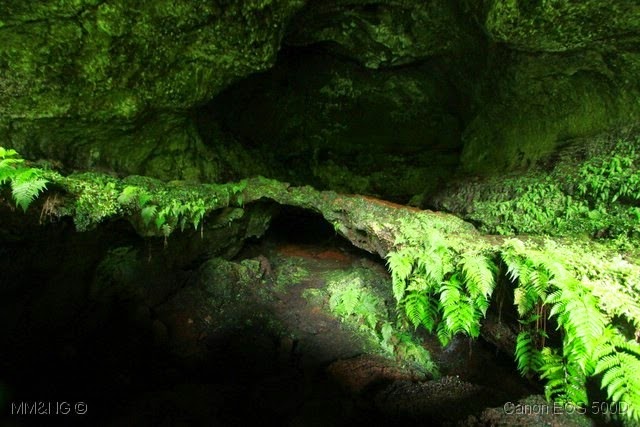 [IMG_3405%255B4%255D.jpg]