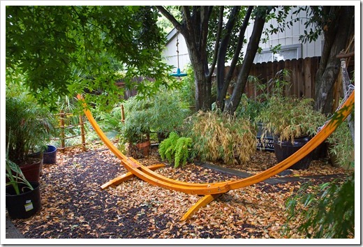 121022_hammock