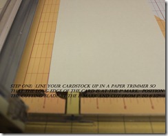IMG_1256 IMG_1256