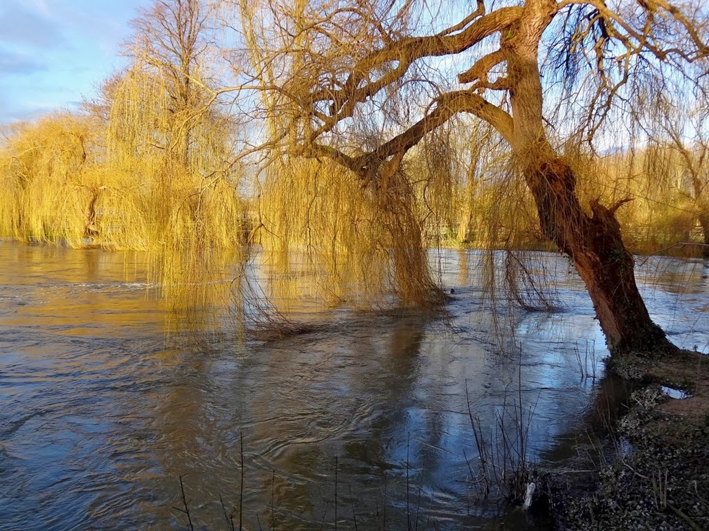 [DSC03770%2520%25281300x975%2529%255B4%255D.jpg]