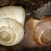 20120320_15