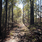 hike_westFlaBoundary_11-28-07