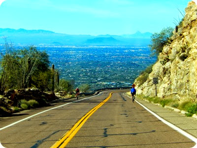 Mt. Lemmon