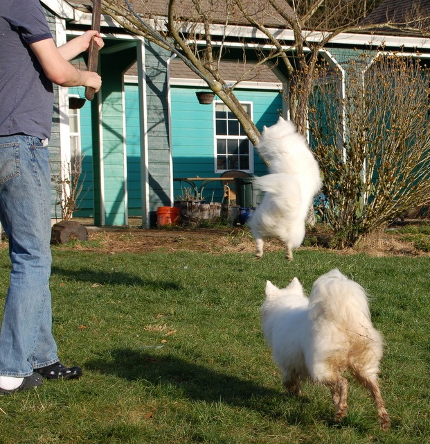 [DSC_5024%255B14%255D.jpg]