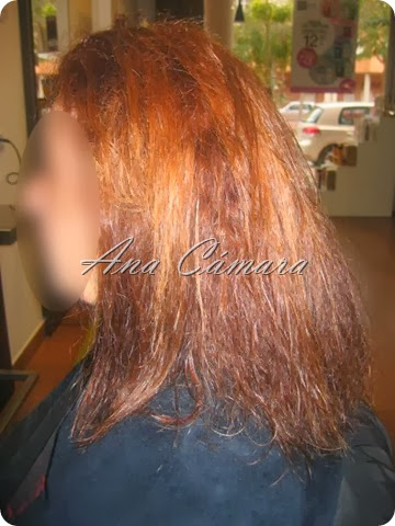 IMG_8043 IMG_8043