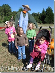IMG_6186 IMG_6186