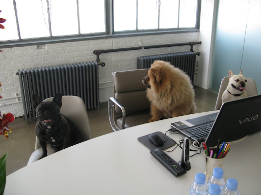 We came here to talk about our compensation.  It's been a long time since our last treat raise!