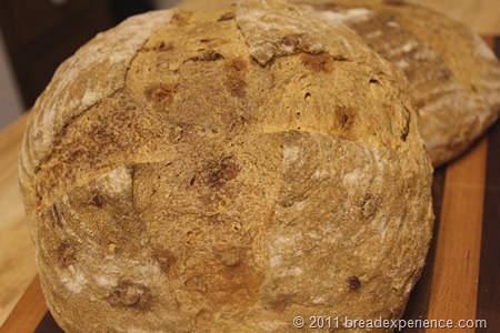 [garden-tomato-bread_0140%255B3%255D.jpg]