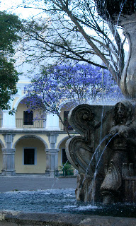 Central Square in the morning looking towards Volcán de Agua, Guatemala. Photos by TOM HART