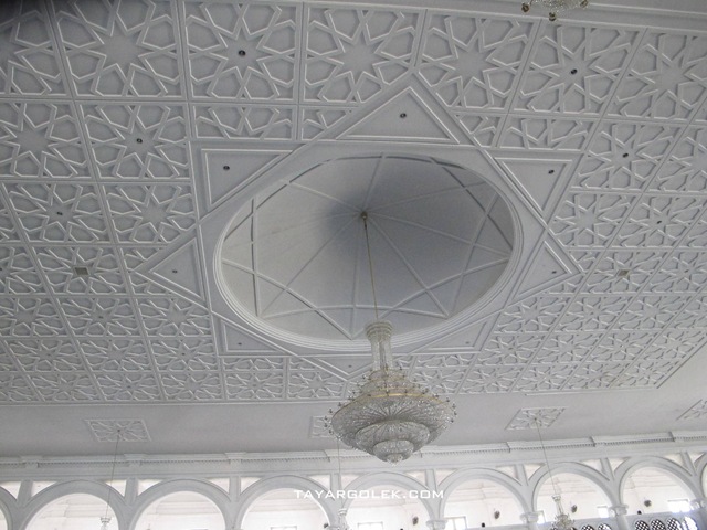 [IMG_79982.jpg]