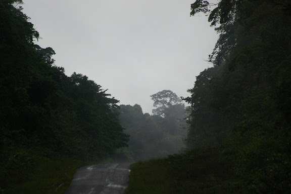 Camp Patawa (après la pluie), Montagne de Kaw (Guyane), 14 novembre 2011. Photo : J.-M. Gayman