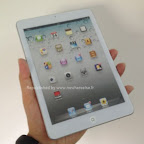 iPad-Mini-02.jpg