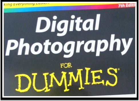 [digital%2520dummies%255B4%255D.jpg]