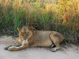 South Africa - 140.JPG