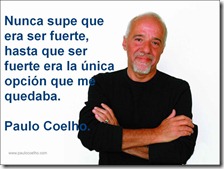 coelho coelho