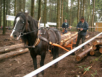 CIMG8769.JPG