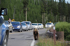 DSC_2187.JPG