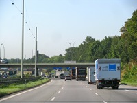 IMG_7906 IMG_7906