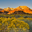 rabbitbush_sunrise  Steve Gould.jpg