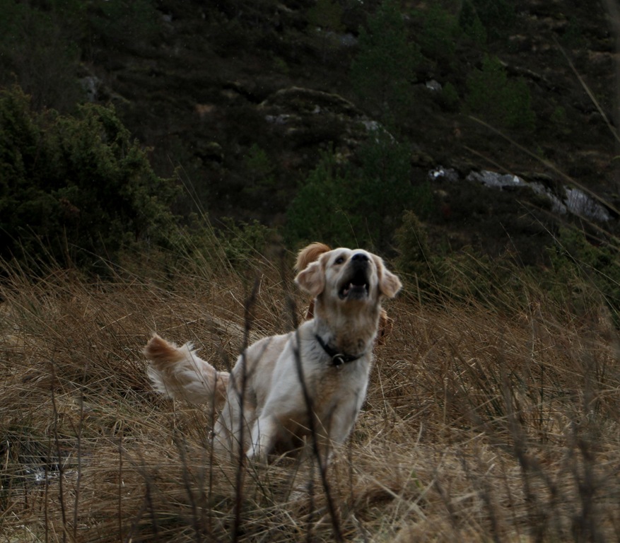 [IMG_9906%255B5%255D.jpg]