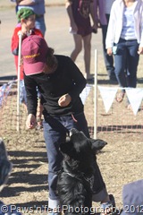 IMG_9268 IMG_9268