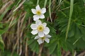 DSC_0089 DSC_0089