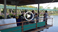 IMG_1705.MOV