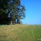 2. V Brodu u Kladrub (okr.Tachov)