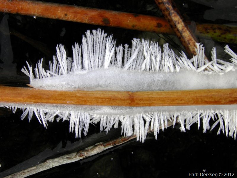 [Barb%2520Derksen%2520Ice%25202012%2520%2520%252839%2529%255B6%255D.jpg]