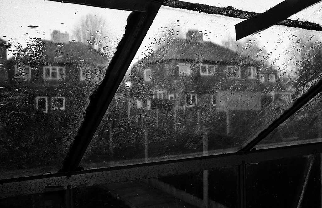 [The%2520Greenhouse%2520-%2520Film%255B4%255D.jpg]