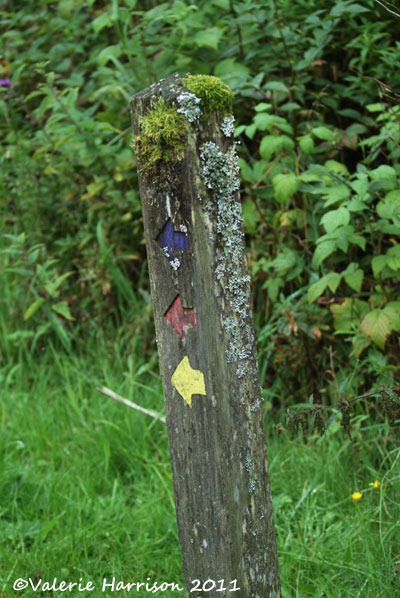 [17-footpath-sign%255B2%255D.jpg]