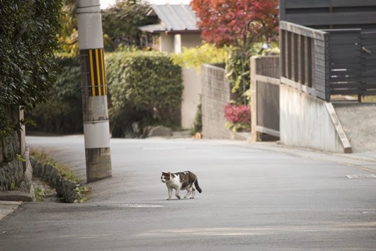 20131202-_MG_2972 20131202-_MG_2972