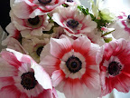 We added some vibrant anemones, which were the perfect color.