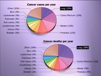 Cancer cases & death per year-lungs
