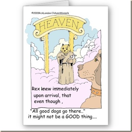 dios cielo paraiso jesus ateismo religion humor grafico
