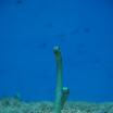 hokkaido_531.jpg