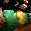 DSC02210.jpg