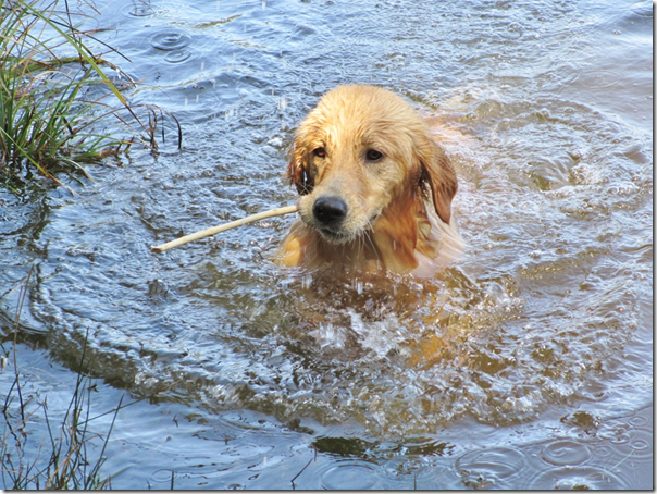 Swim3 Swim3